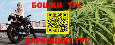 хмурый Абакан