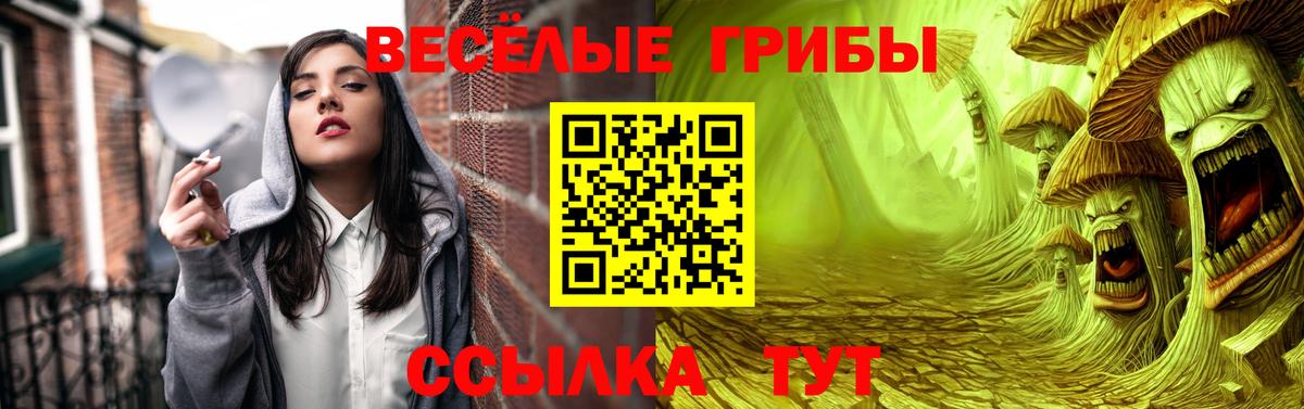 Псилоцибиновые грибы прущие грибы Алексин