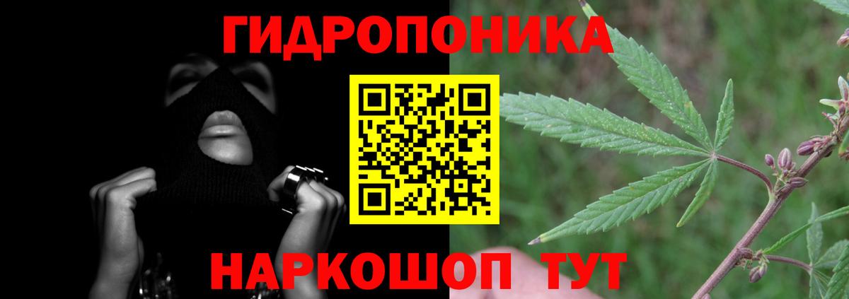 Шишки марихуана OG Kush  Канабис MAZAR  Алексин  Вход с VPN 